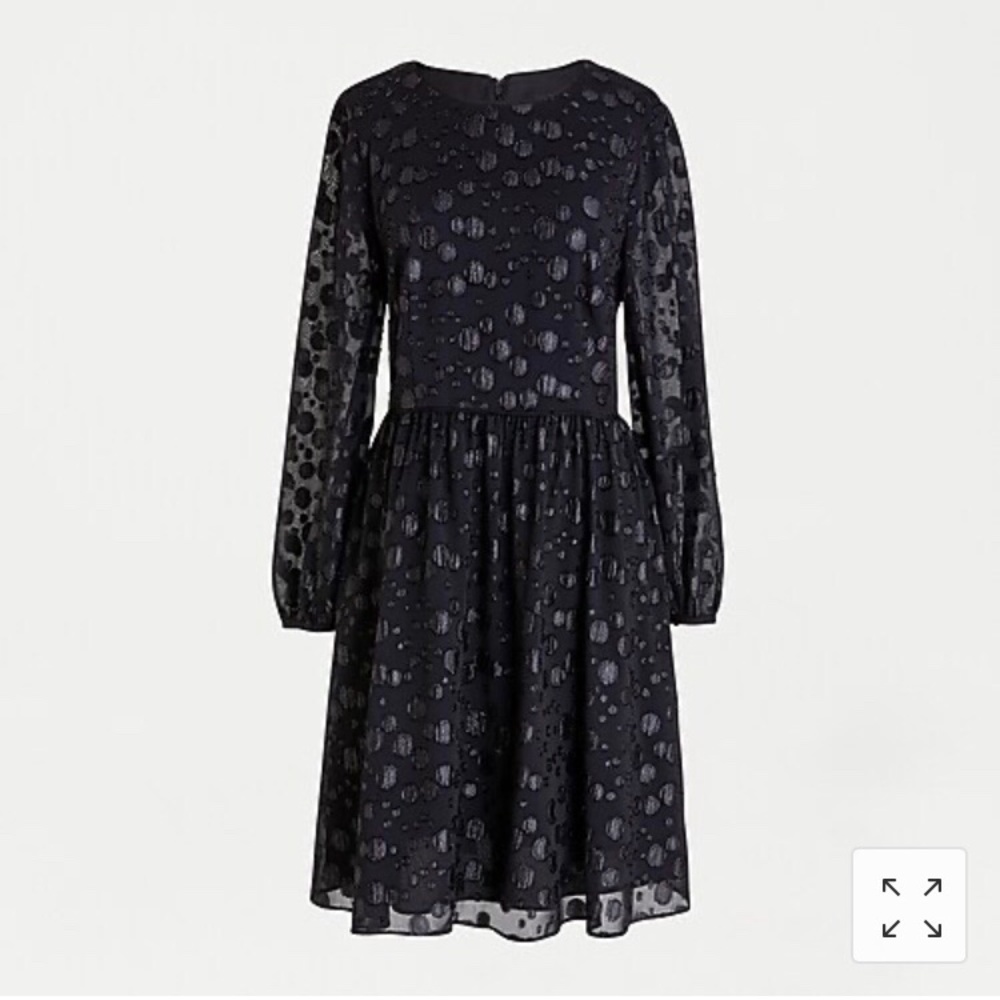 NWT J. Crew A-line dress in metallic dot jacquard WINTER DRESS size 00 XS